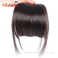 Silky Straight Neat Synthetic Clip In Hair Bangs